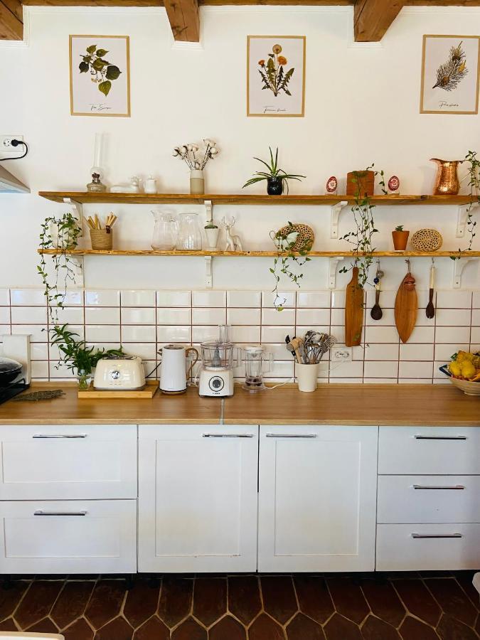Slow Living Cottage, Dobolii De Sus Экстерьер фото